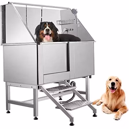 kedi k&ouml;pek yıkama k&uuml;veti